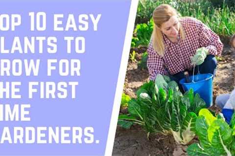 Top 10 easy plants-to-grow for the first-time gardeners.