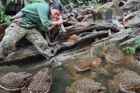 skills, catching stream frogs, survival alone, survival instincts