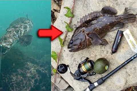 Catch and Cook BOILED Fish ** Underwater Fishing Camera
