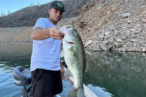 Top water fish all afternoon on lake oroville!!