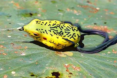 Froggin' TRICKS That Catch BIG BASS