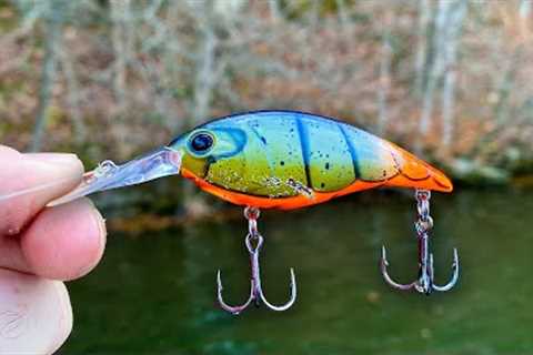 You DON'T Want to MISS this Lure for Winter Bass Fishing