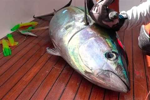 TUNA! Catch, Clean, Cook and EAT!!!! Gabriella's Quepos, Costa Rica