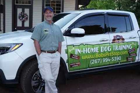 Bobs Pet Stop In Home Dog Training   Warrington