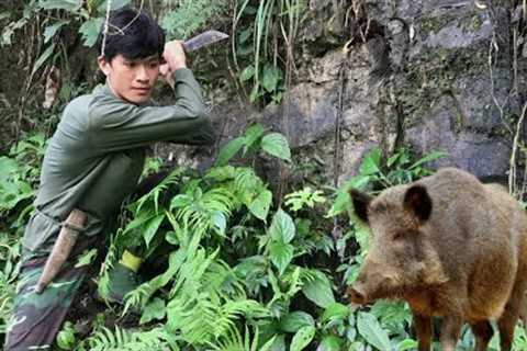 FULL VIDEO: 30 days of survival, Wild boar trap skills, Catch bamboo mouse, Build barns