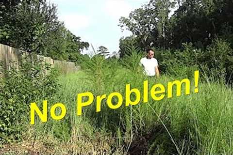 Tall Grass Mowing - FREE LT1000 Riding Lawn Mower Cutting Overgrown Grass