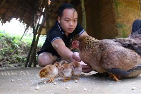 Primitive Skills: A miracle happened, Welcome first chicks (ep197)
