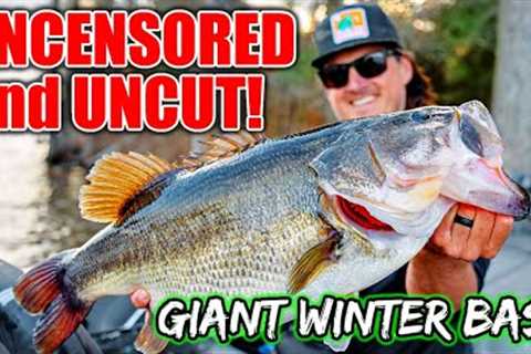90 Minutes UNCUT Catching Suspended Winter Bass on Livescope!