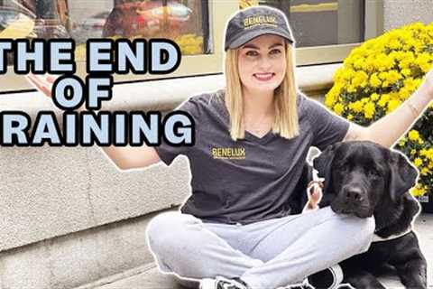 Guide Dog Training on Escalators, Food Refusal, &amp; More!