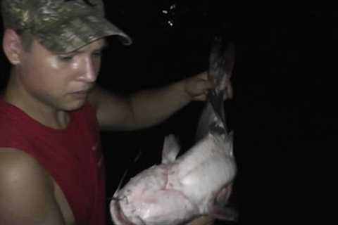 Catching, Cleaning and Cooking Catfish! - Fish Tacos!
