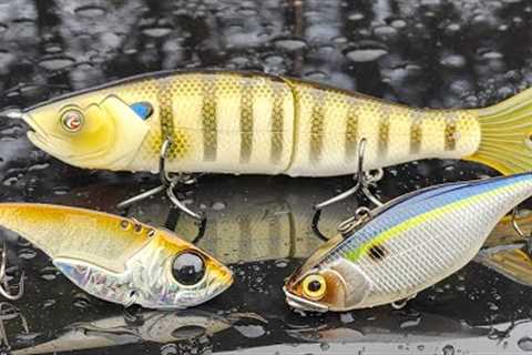 Winter Bass Fishing Is Fun! Here's How We Catch Them!