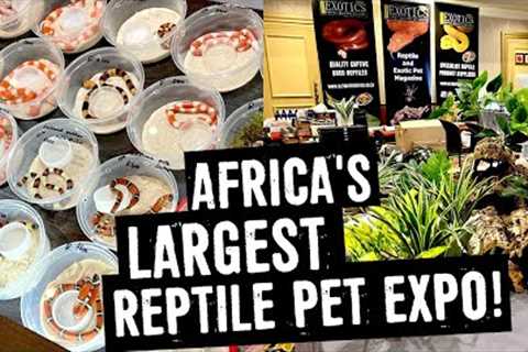 REPTILE PET EXPO: LARGEST IN AFRICA 2022!