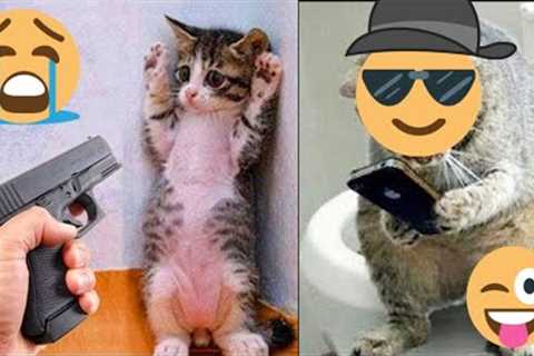 FUNNY ANIMALS - Funny Cats / Dogs Funny animal videos / Best Videos of December 2022