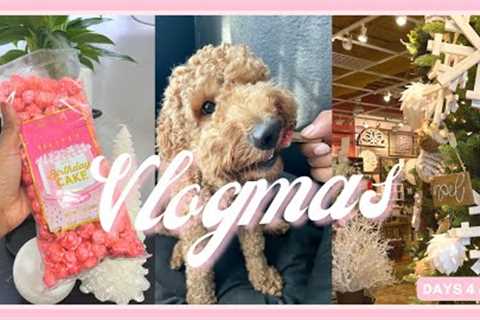 Vlogmas: Sneaker tour, dog training tips, WARNING DO NOT BUY THIS HAIR!