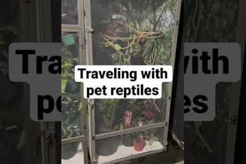 Traveling with exotic pets