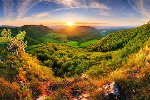 Morning Relaxing Music With Beautiful Nature Videos 🍀 Reduce Stress, Anxiety &amp; Depression #1