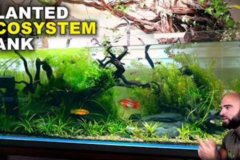 Aquascape Tutorial: EPIC 4ft NO WATER CHANGE Ecosystem Aquarium (How To: Step By Step Guide)