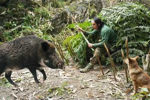 Detect predators, build shelter quickly and, survival alone, survival instinct