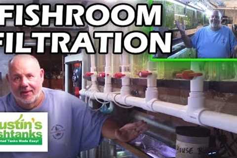 How to Filter an Aquarium Fish Room