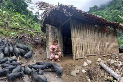Full Video 90 Days Building House In The Forest, Survival Instinct, Wilderness Alone, Farm Pig Life