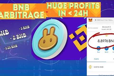 $1000/DAY Passive Income | NEW BNB Flash Loan Arbitrage | EASY - 10X  Binance Profits -  29 NOV 2022