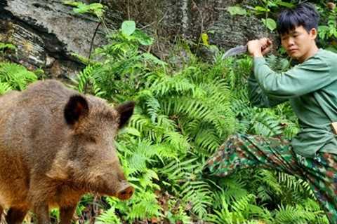survival, wilderness, skills, boar traps, survival instincts, survival alone