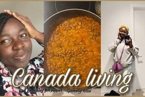 Vlogmas Day 8 : Still navigating food in Canada + come grocery shopping with me | Failed a test