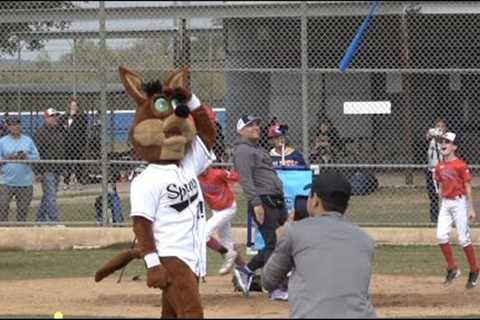 MLB All-Star Jose Trevino Takes the Spurs Mascot Deep!