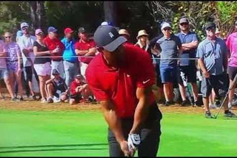Tiger Woods showing Charlie who is boss 😤