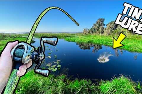 1v1v1 Tiny Lures ONLY Bass Fishing Tournament (INSANE)
