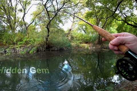 Fishing in the City - 3wt Fly Rod and fun Fish! - McFly Angler Fly Fishing Episode 88
