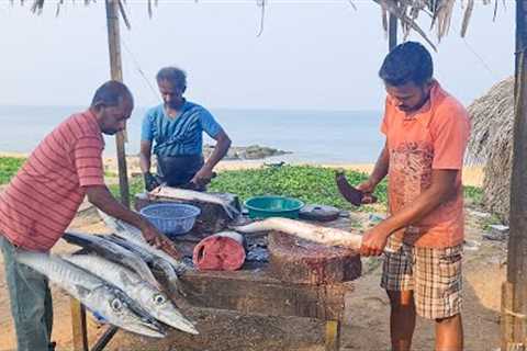 Amazing Eel Fish Cutting Skills l Fastest Fish Cutting In Village | Fish Cutting Skil Amazing Market