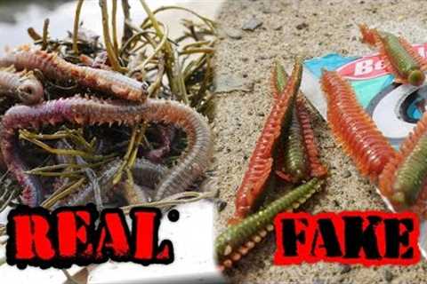 Berkley Gulp! Sandworm VS. Live Pile Worm - Which Will Catch More Fish?