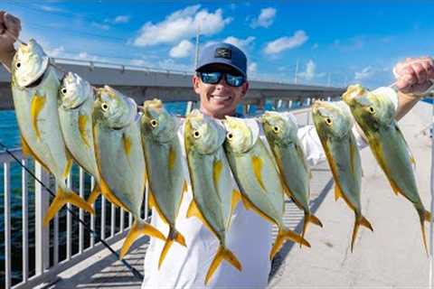 World's BEST Fishing Spot... Catch Clean Cook (Florida Keys Bridge Fishing)