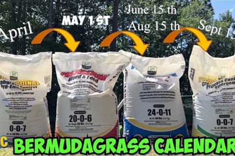 Bermuda Grass Calendar for lawns 2022 // Sunniland Fertilizer // Lawn calendar