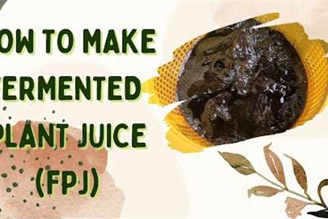 How to Make Fermented Plant Juice(FPJ) | ORGANIC FERTILIZER