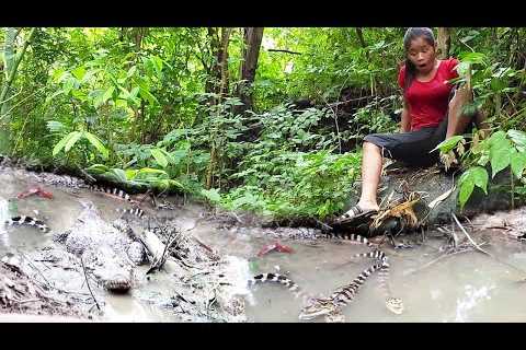 Amazing skill catching Fish, Snails and wild vegetable for foods + 5 More Cooking and Eating Videos
