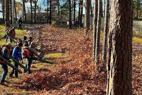 Taking OVER the it’s HIS turf LEAF ARMY it was an INSANE amount leaf clean up