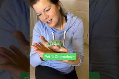 GETTING MY MOM TO HOLD MY EXOTIC PETS! #shorts