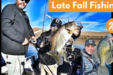 Late Fall A-Rig Fishing &amp; a New PB!?-Castaic Lake