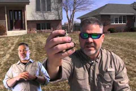 Spring Lawn Care: Recovery Program Step #2