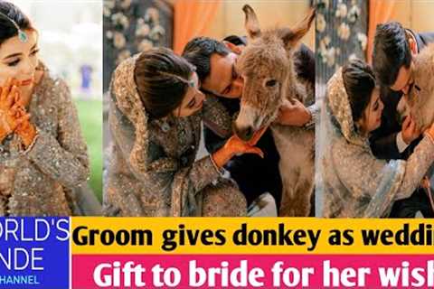 Groom gives donkey as wedding gift to bride @worldskunde