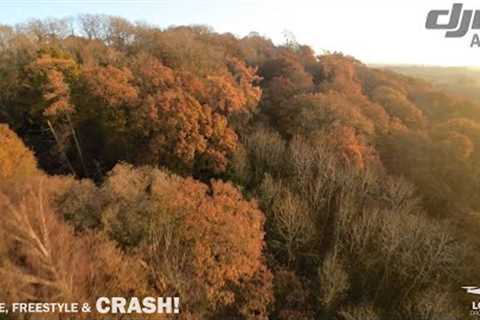 DJI Avata - Cruise, Freestyle &amp; CRASH! (4K)  #fpv #dronepilot #djiavata