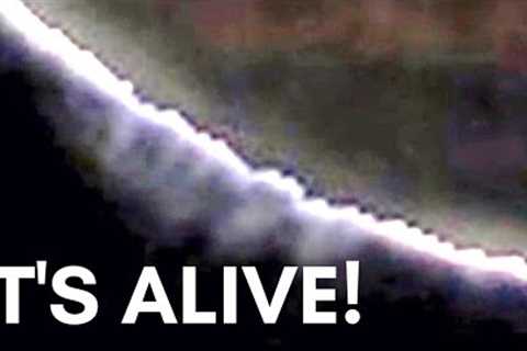 IT'S HAPPENING - Scientists Announced They Discovered A BIZARRE Exoplanet!