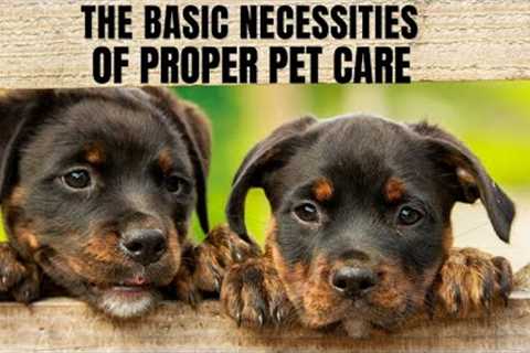 The Basic Necessities of Proper Pet Care