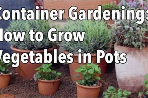 Container Gardening - Top Tips for Success