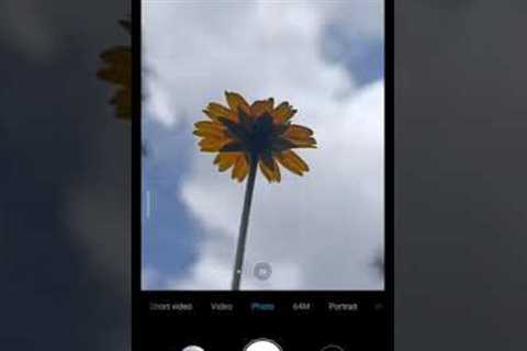 #shorts | Creative mobile photography ideas | mobile photography | #mobilephotography #youtubeshorts