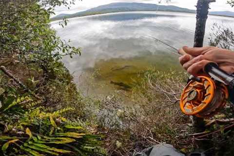 LAKE EDGE Fishing on a TOUGH DAY!