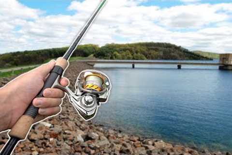 Catching FISH for FOOD!! (Catch Clean Cook) DEEP Lake Trout