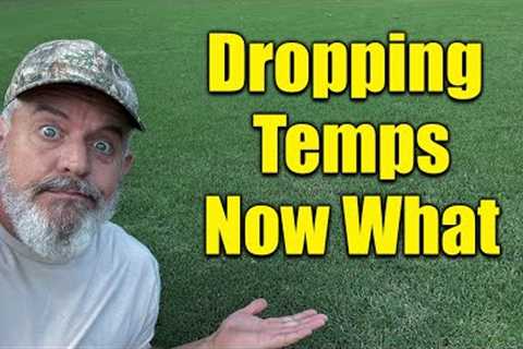 Fall Lawn Fertilizers Time to Change with Falling Temps
